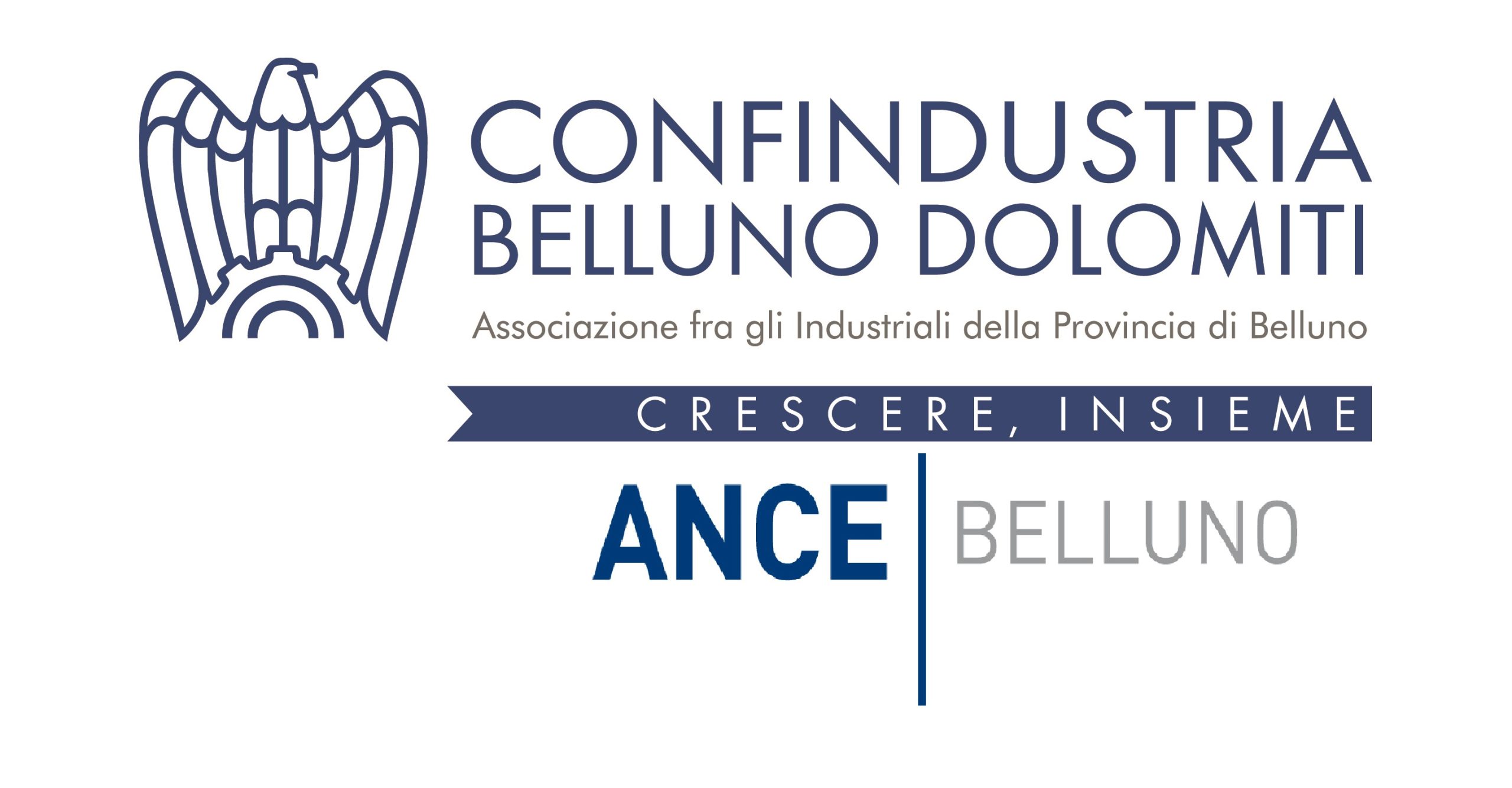 confindustria belluno dolomiti ance